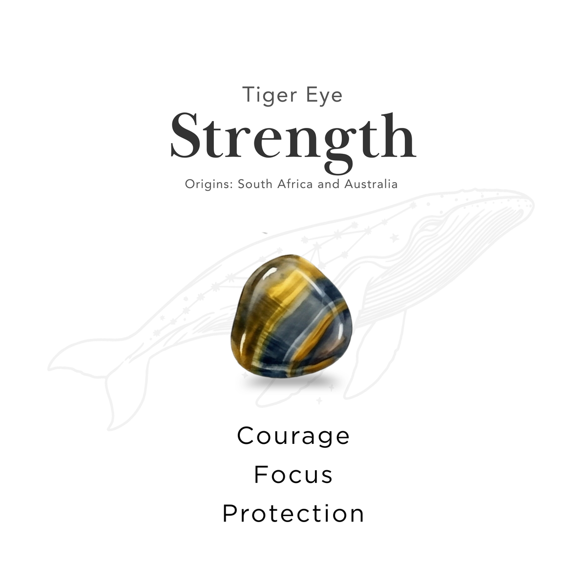 Lemurea Lattice | Tiger's Eye Courage Bracelet