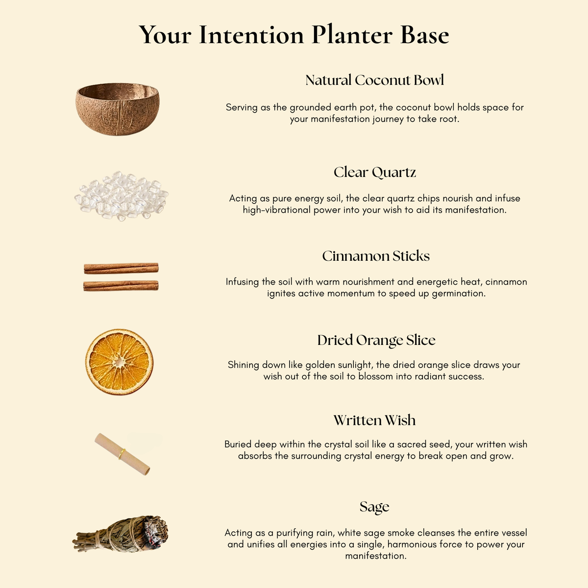 The Wish Planter | Protection
